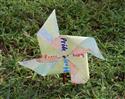Pinwheels_for_Peace_12-12