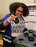 Science_Fair_12(3)-11
